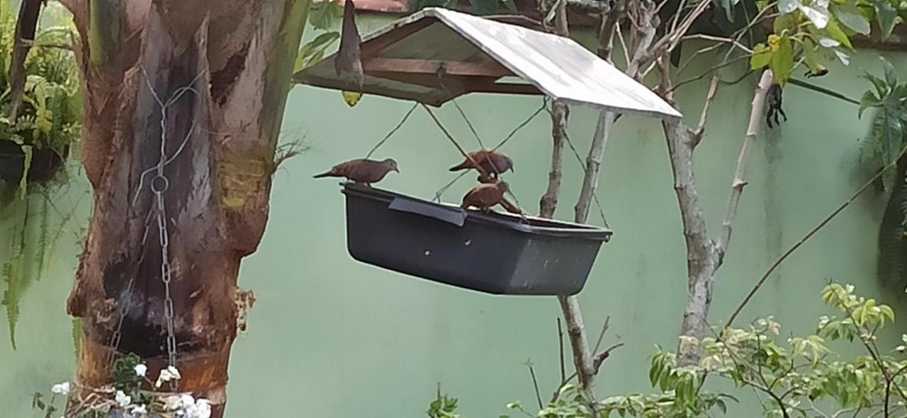 Espaco Aconchego Com Ar-Condicionado E Amplo Jardim Villa Caraguatatuba Eksteriør billede